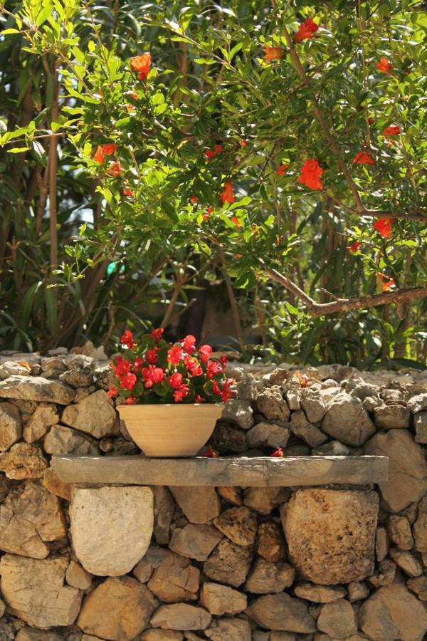 Apartments Nejasmic - Little House For Peaceful And Domestic Vacation Bol Exteriér fotografie
