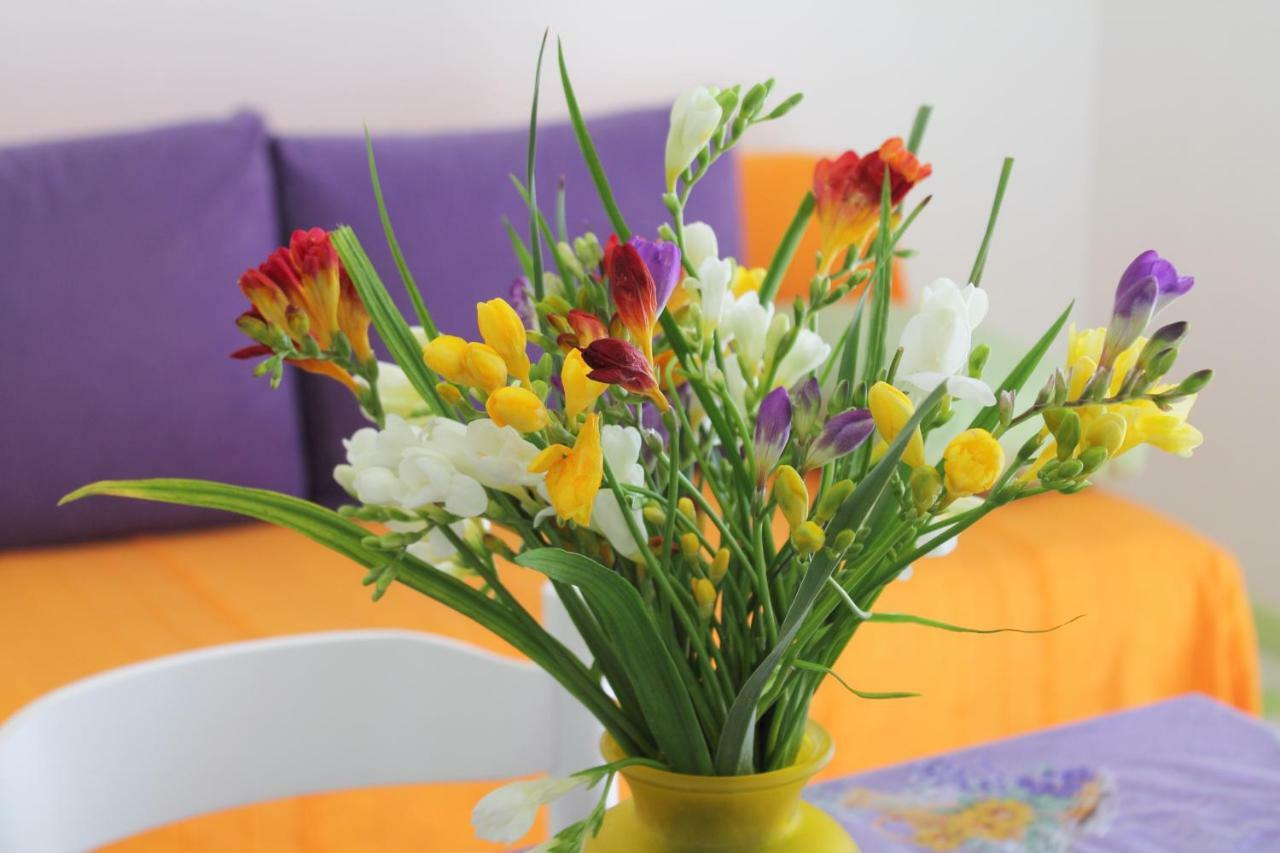Apartments Nejasmic - Little House For Peaceful And Domestic Vacation Bol Exteriér fotografie