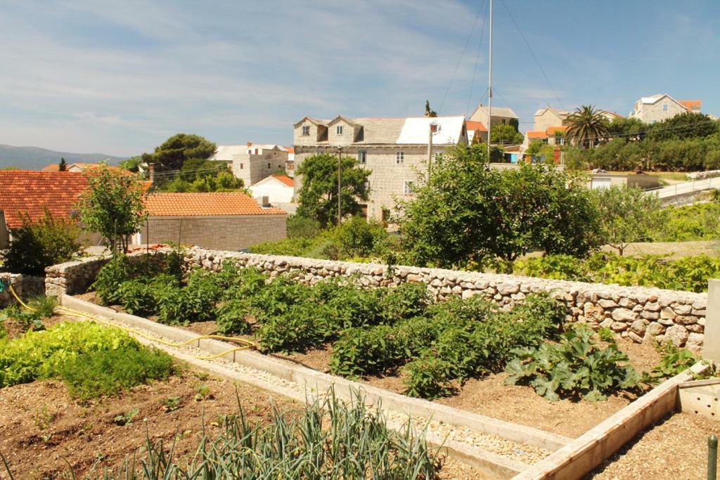Apartments Nejasmic - Little House For Peaceful And Domestic Vacation Bol Exteriér fotografie